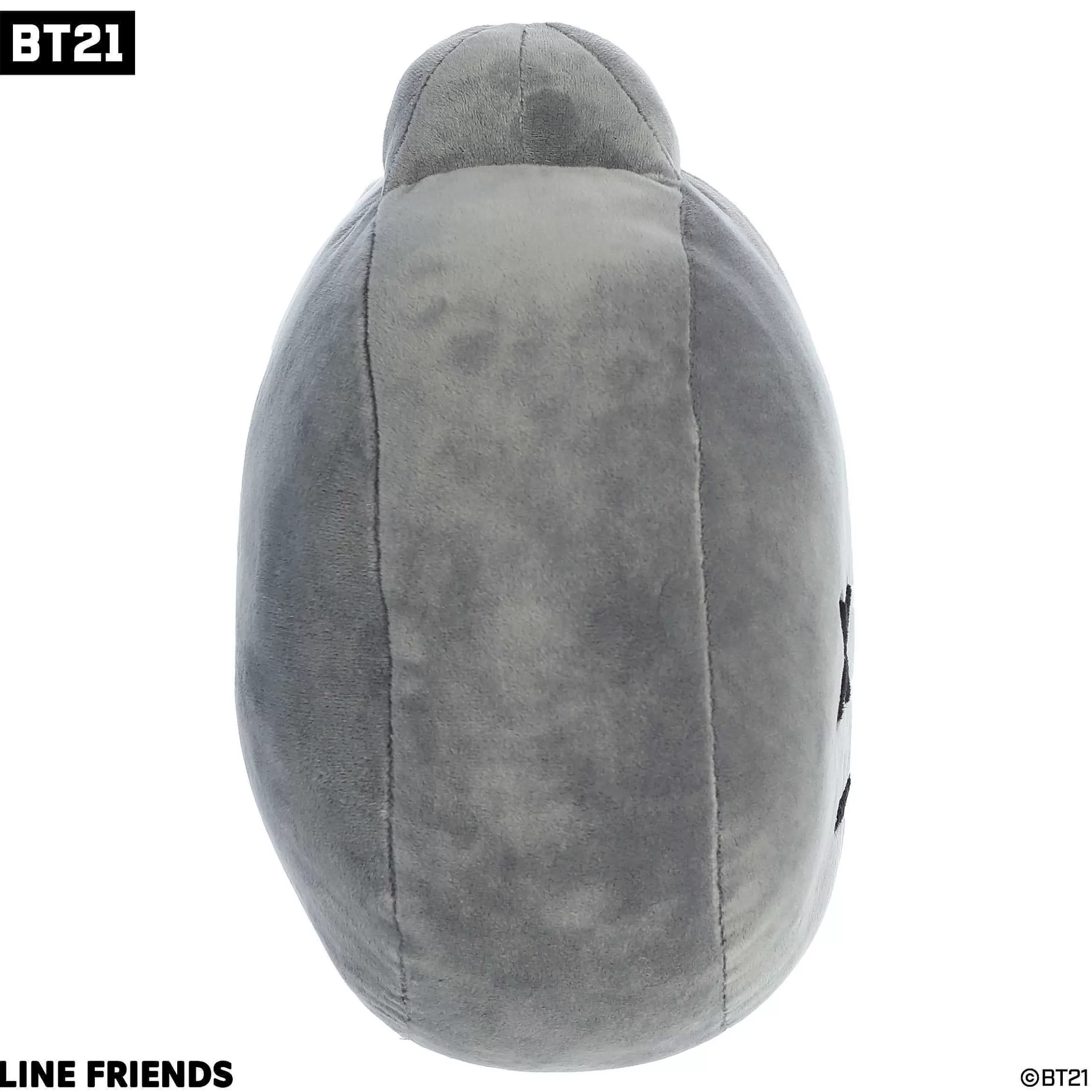 Licensed Aurora® - Bt21 - 12" Van