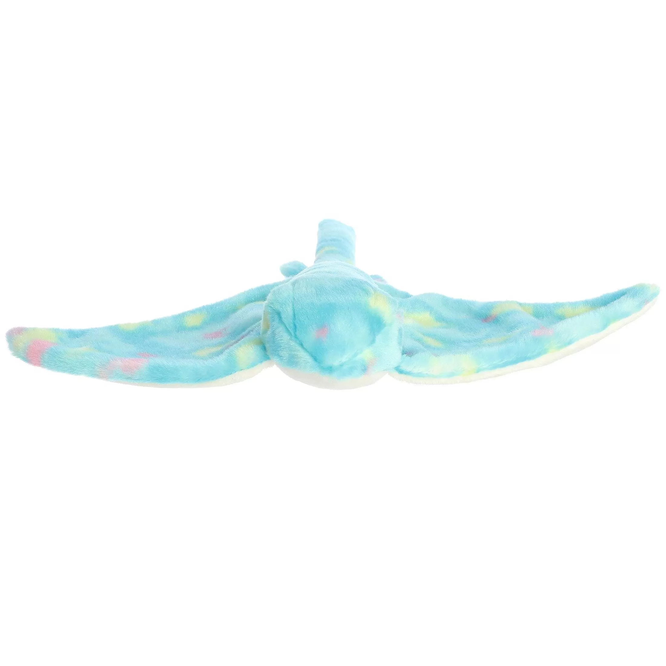 Aurora® - Destination Nation - 19" Stingray - Aqua