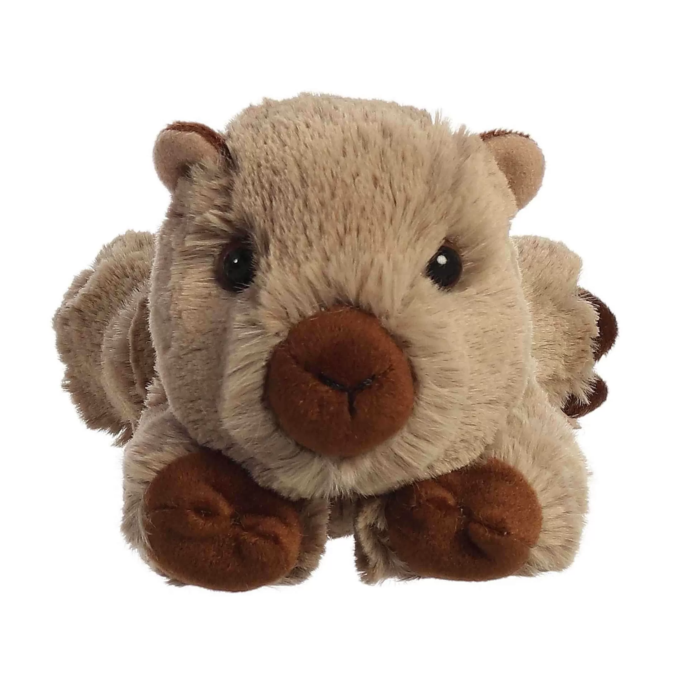 Aurora® - Mini Flopsie - 8" Winnie Wombat