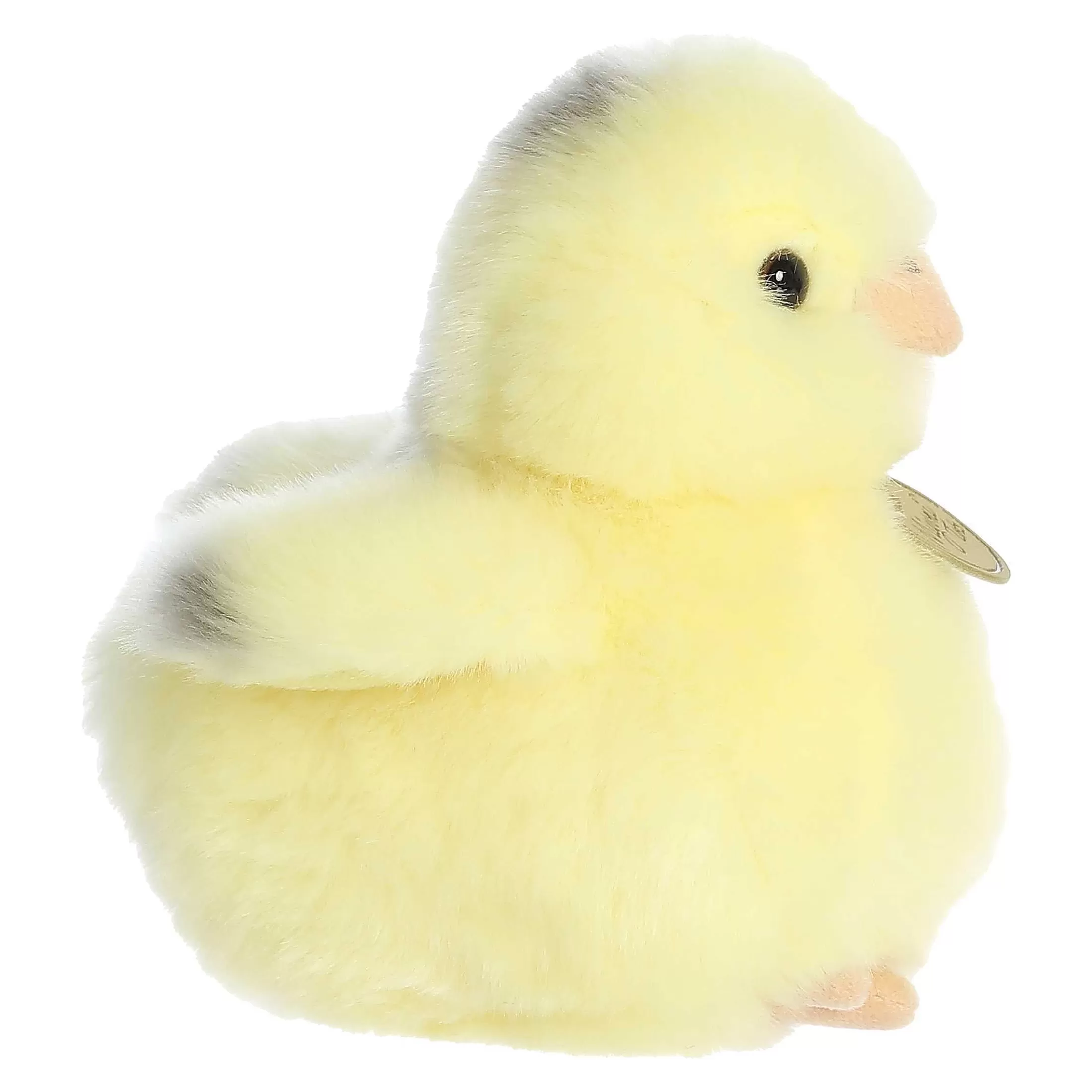 Aurora® - Miyoni® Tots - 5.5" Ameraucana Chick