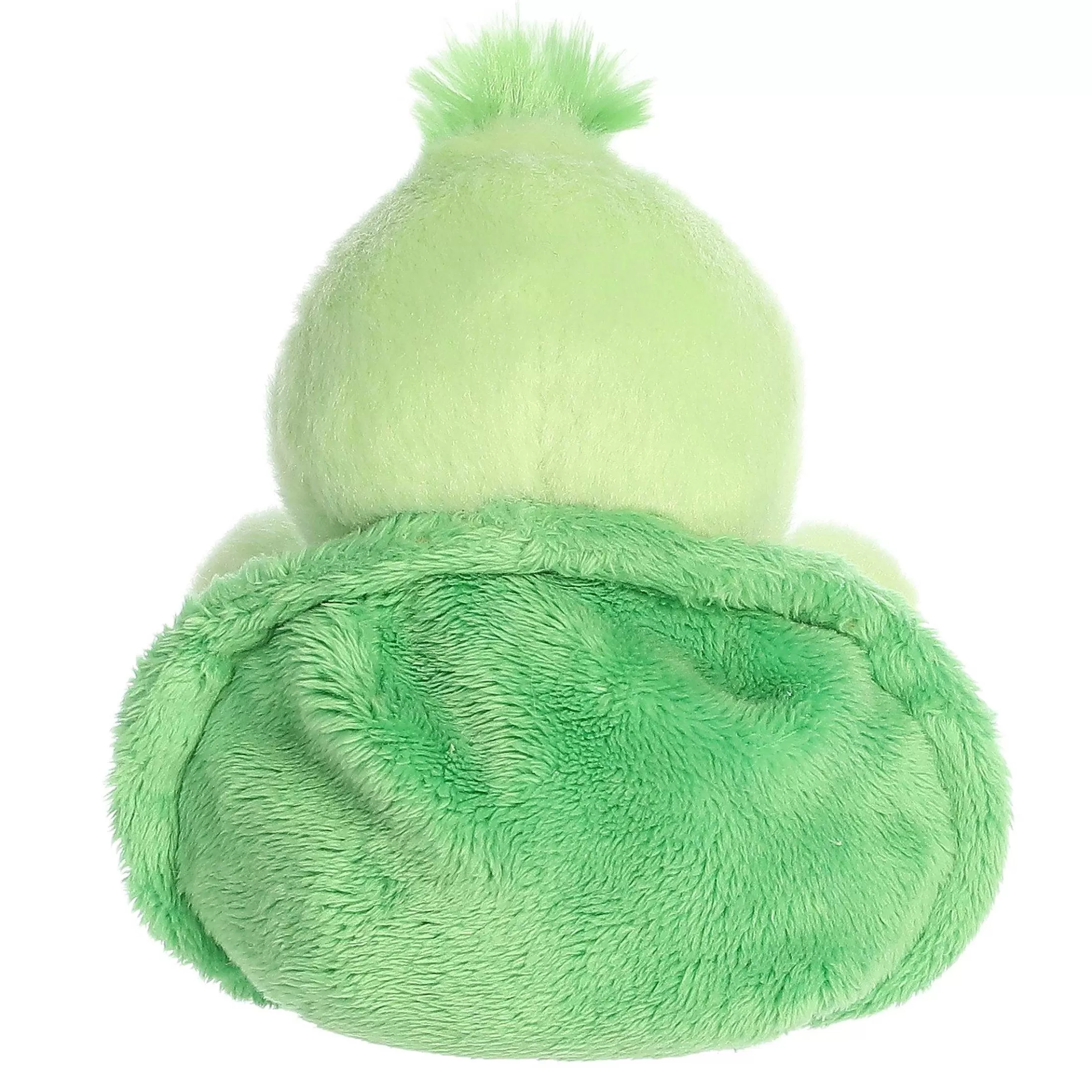 Palm Pals™ Aurora® - Palm Pals - 5" Tiny Turtle