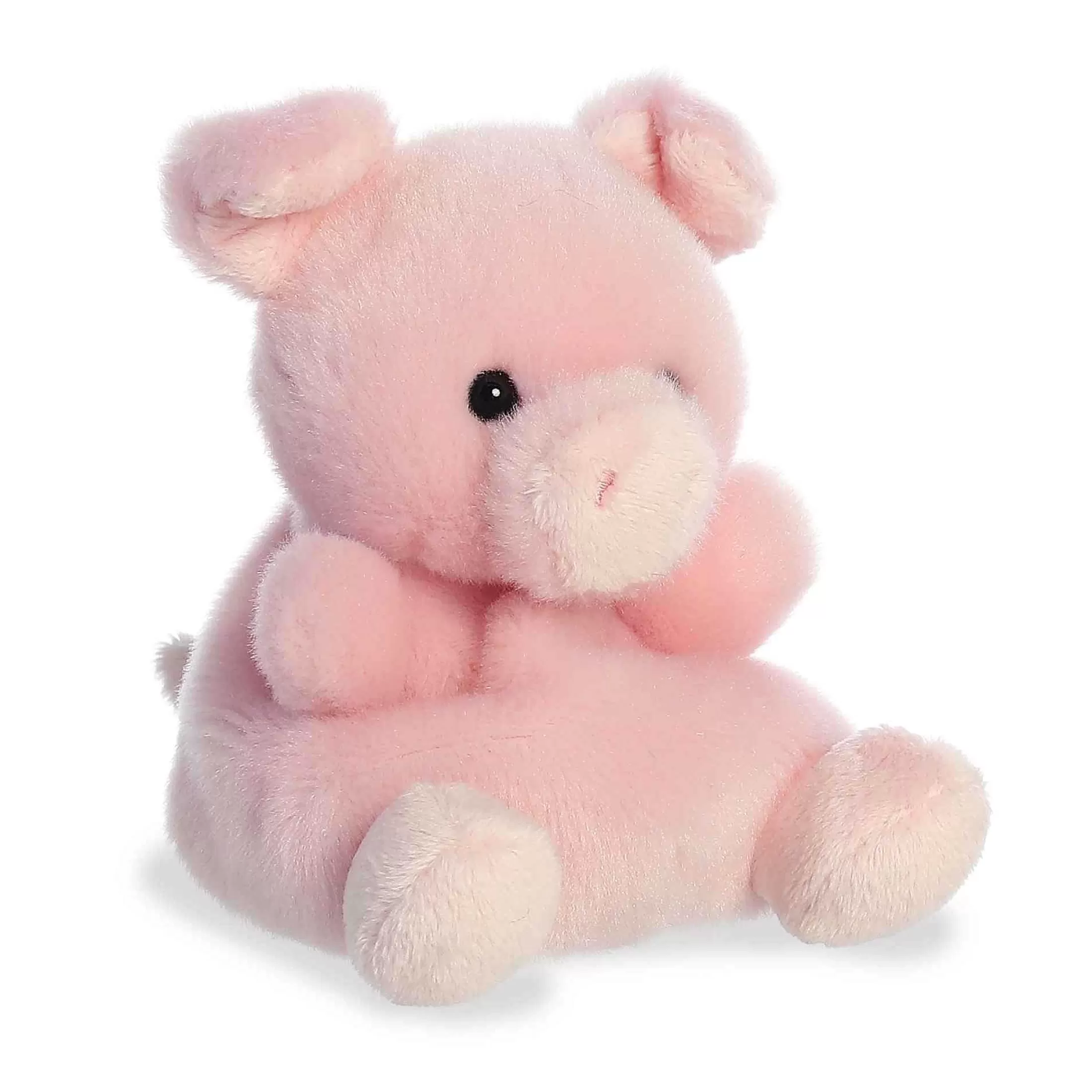 Palm Pals™ Aurora® - Palm Pals - 5" Wizard Pig