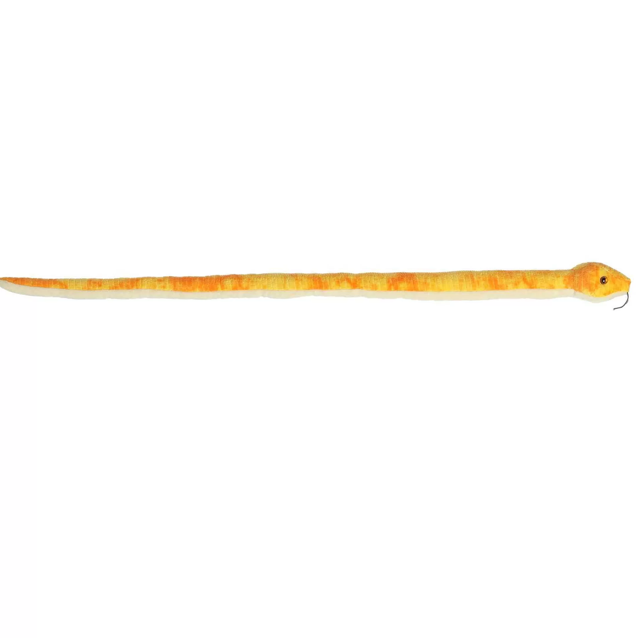 Aurora® - Snake - 50" Mango Corn Snake